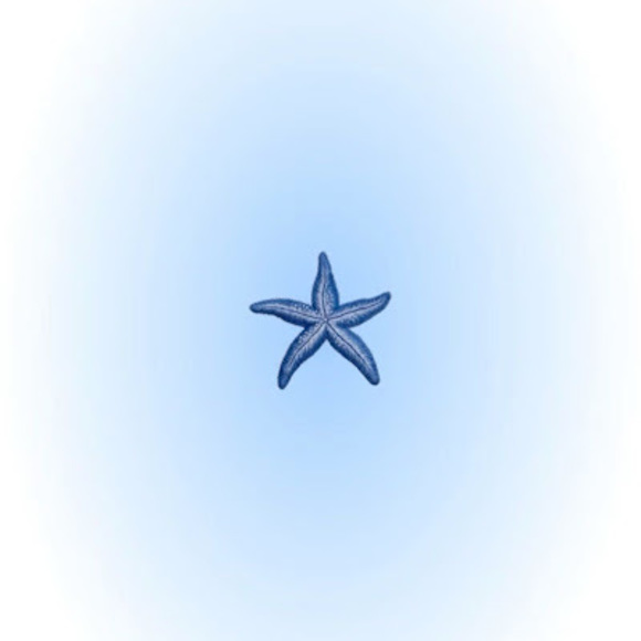 starfish1111813